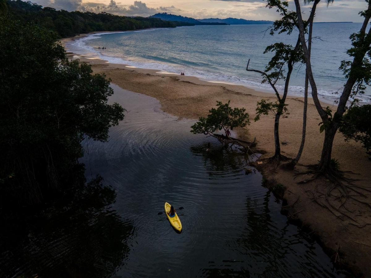 Gigi Brown Villa Paparazzi Beachfront Puerto Viejo de Talamanca المظهر الخارجي الصورة