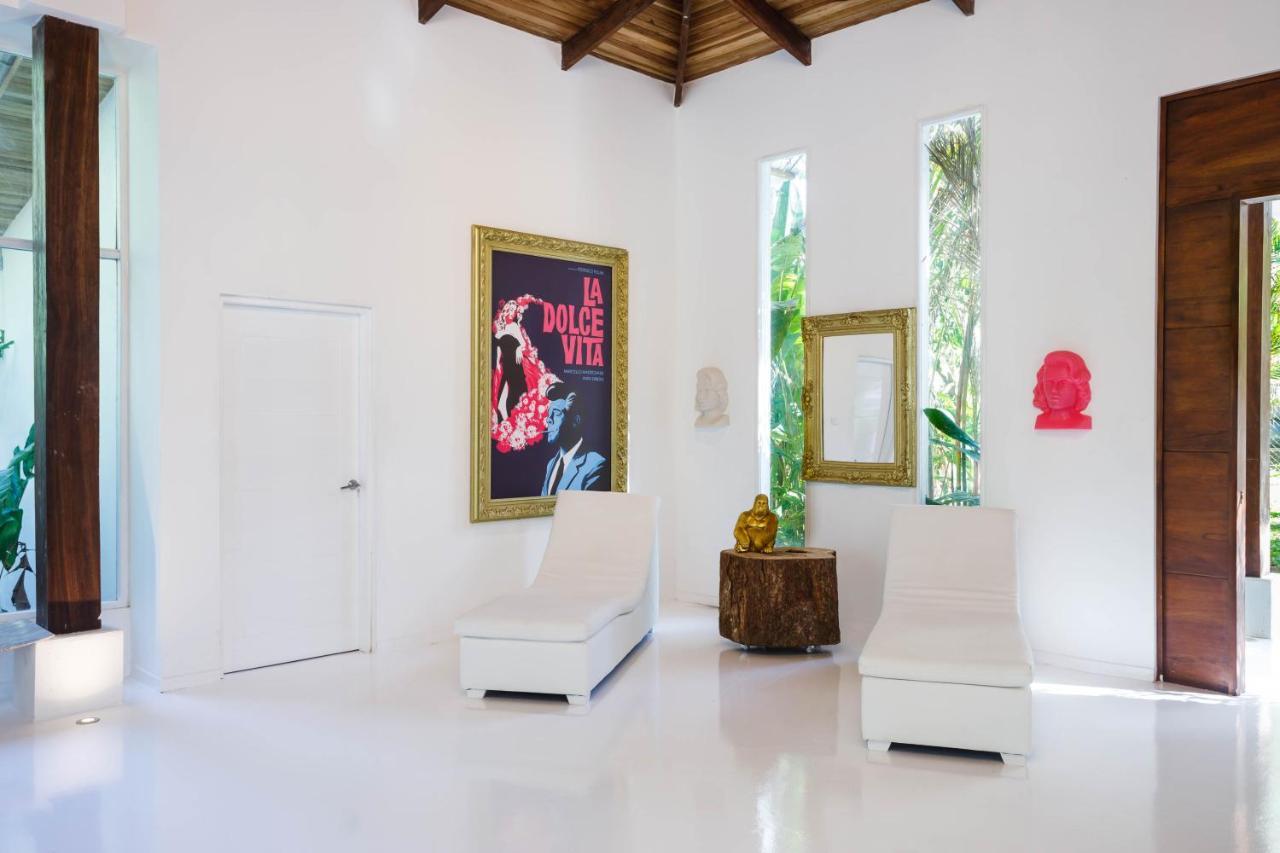 Gigi Brown Villa Paparazzi Beachfront Puerto Viejo de Talamanca المظهر الخارجي الصورة