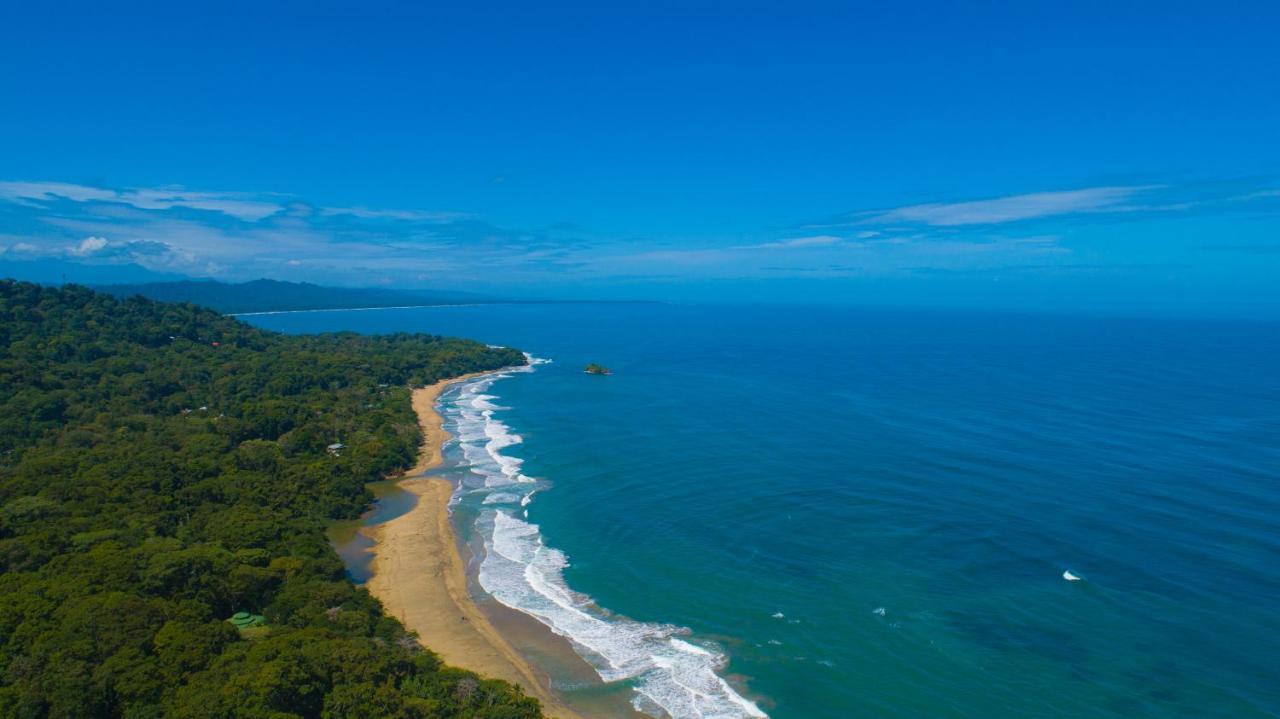 Gigi Brown Villa Paparazzi Beachfront Puerto Viejo de Talamanca المظهر الخارجي الصورة