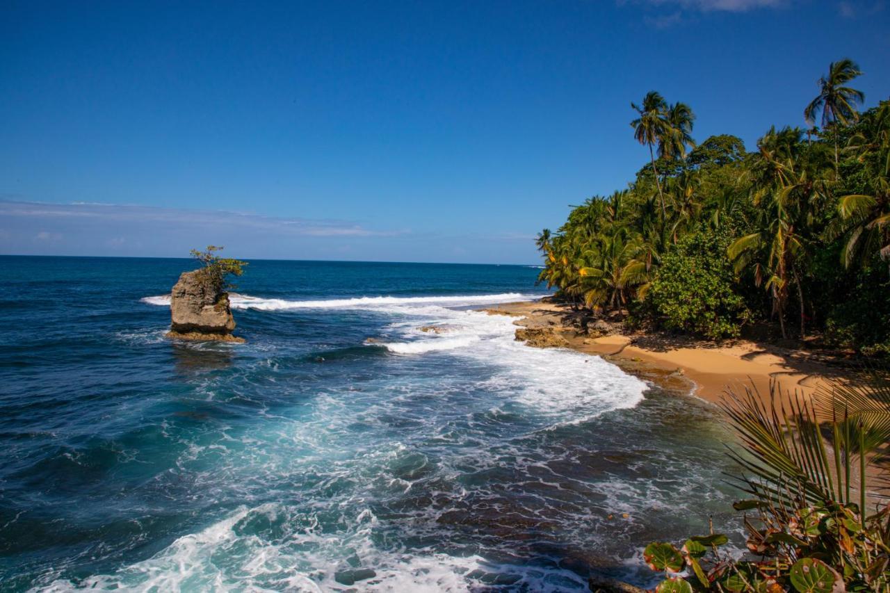 Gigi Brown Villa Paparazzi Beachfront Puerto Viejo de Talamanca المظهر الخارجي الصورة