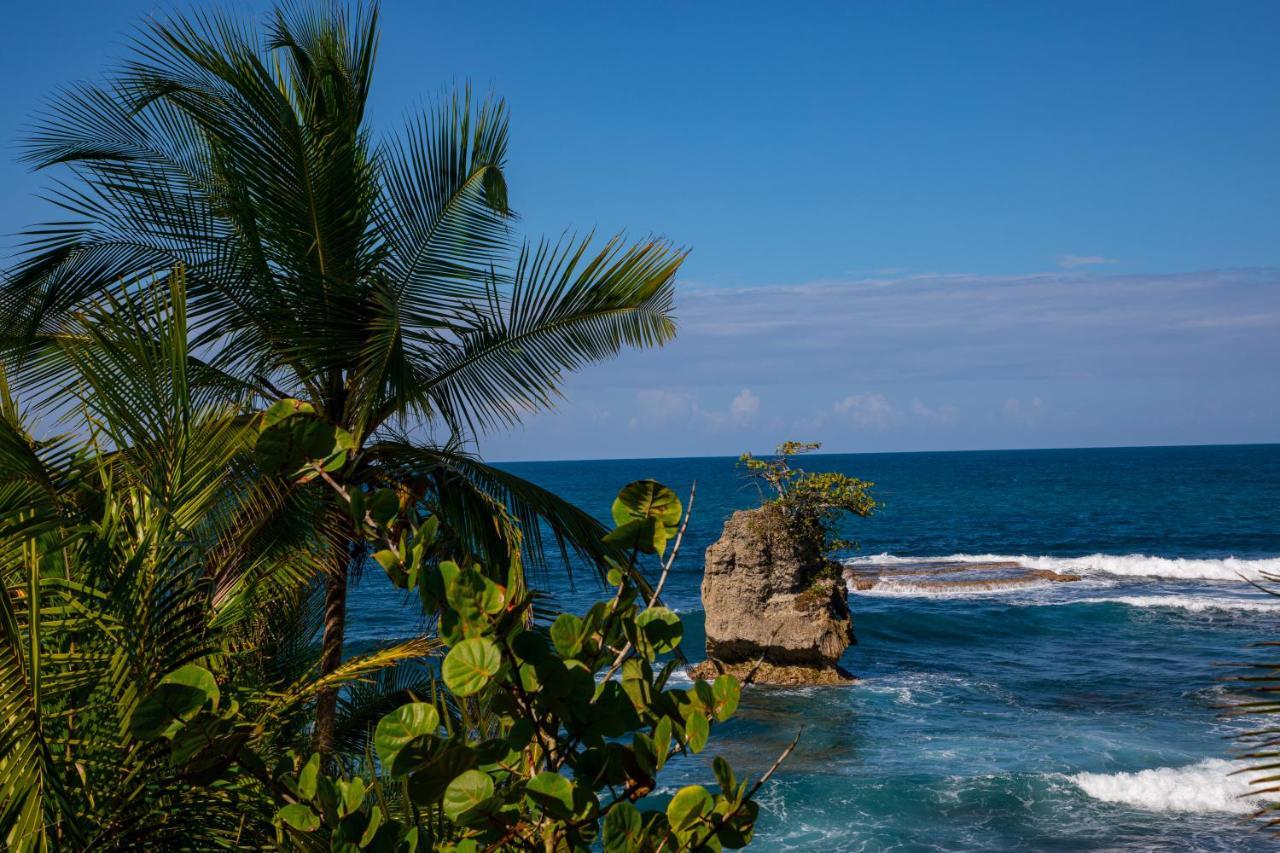 Gigi Brown Villa Paparazzi Beachfront Puerto Viejo de Talamanca المظهر الخارجي الصورة